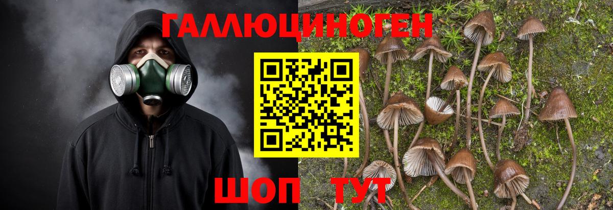 Галлюциногенные грибы MAGIC MUSHROOMS Саратов